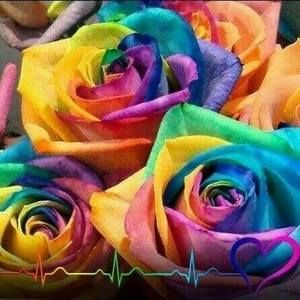 Meet your Posher, Colleen